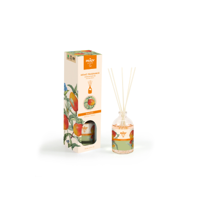 Mikado mango 100ml