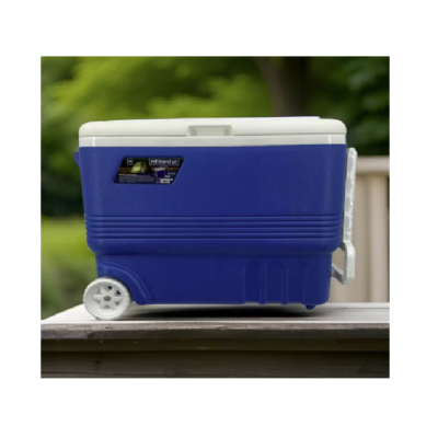 Nevera Portátil Térmica Azul con ruedas 45L - Imagen 3